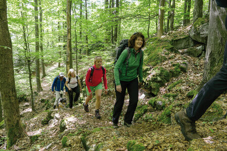 Wandern am Goldsteig